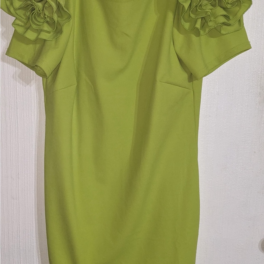 Elegant Green Ruffle Sleeve Dress